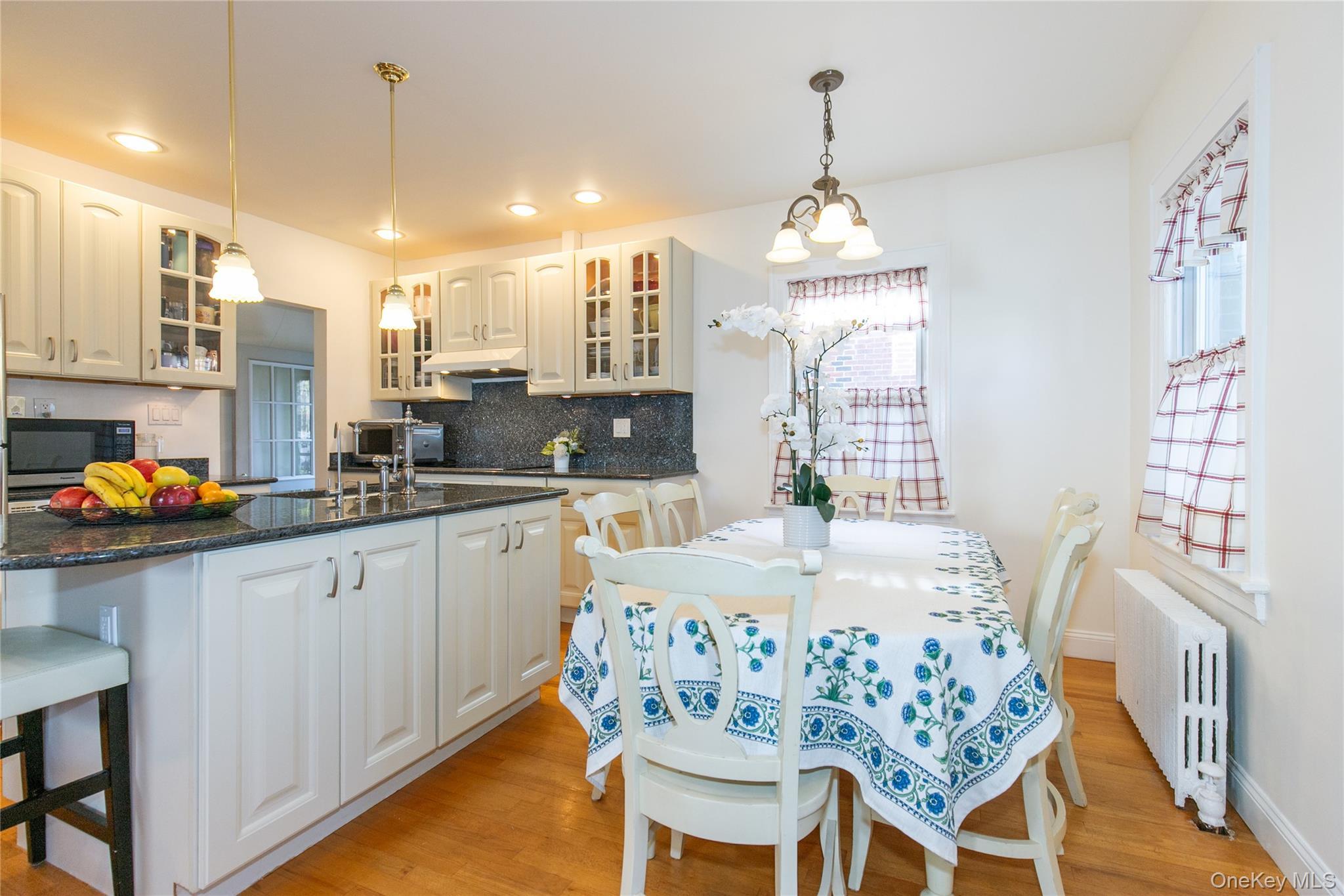 Single Family Theodora  Nassau County, NY 11010, MLS-992283-6
