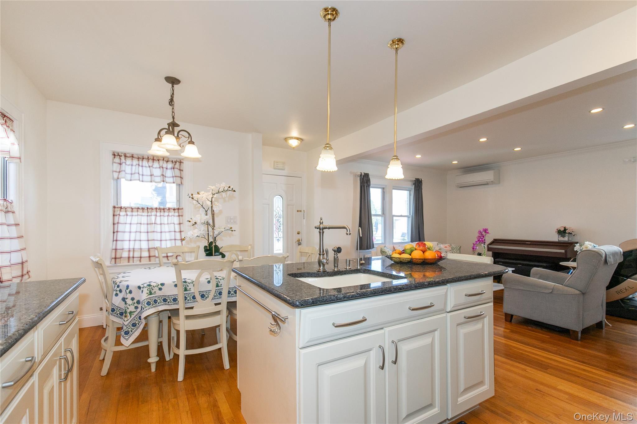 Single Family Theodora  Nassau County, NY 11010, MLS-992283-8