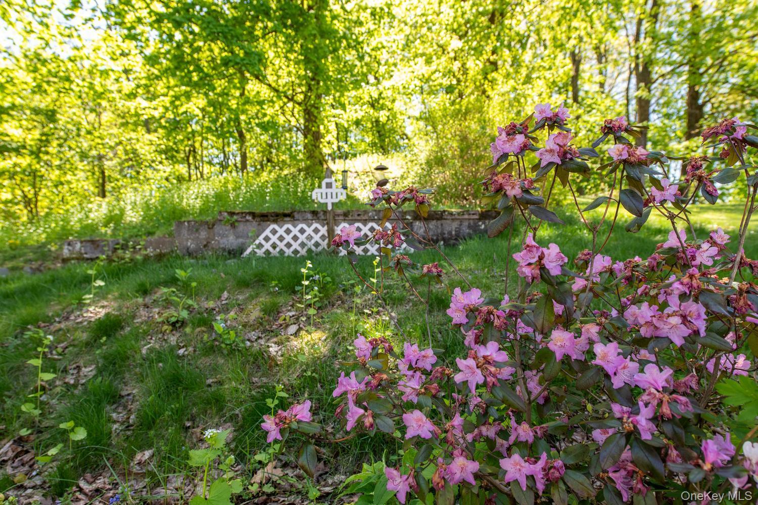 Single Family Market Dutchess County, NY 12538, MLS-992539-36