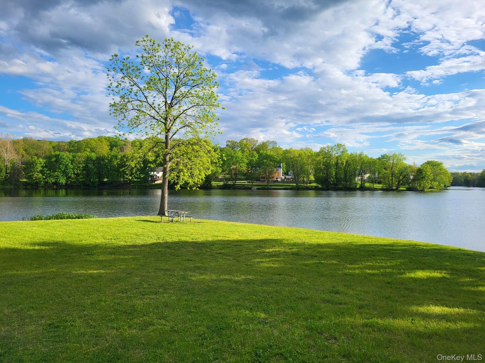 Single Family Oak Drive  Orange County, NY 12553, MLS-992546-38