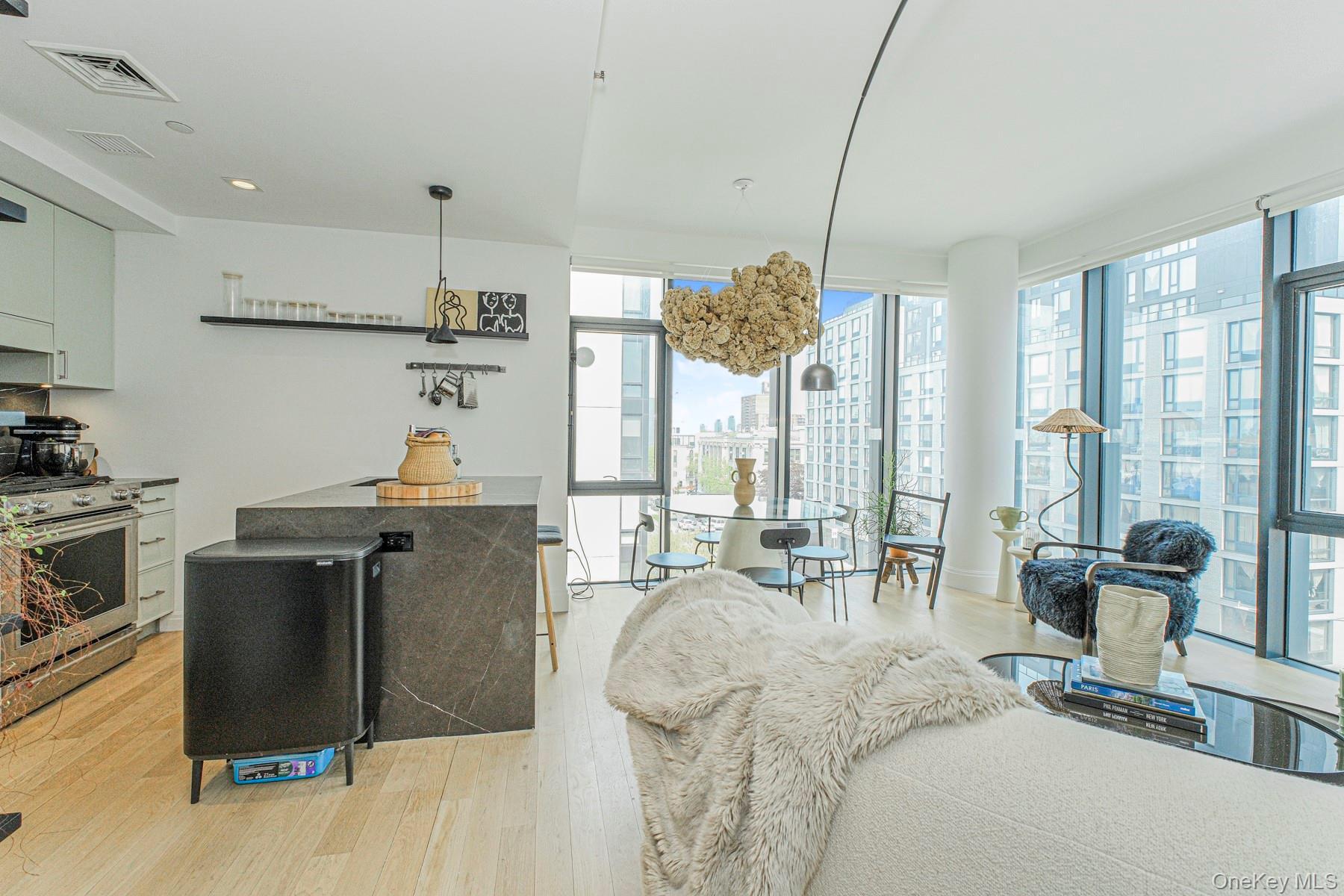 Condo 4th Avenue  Brooklyn, NY 11215, MLS-992614-13