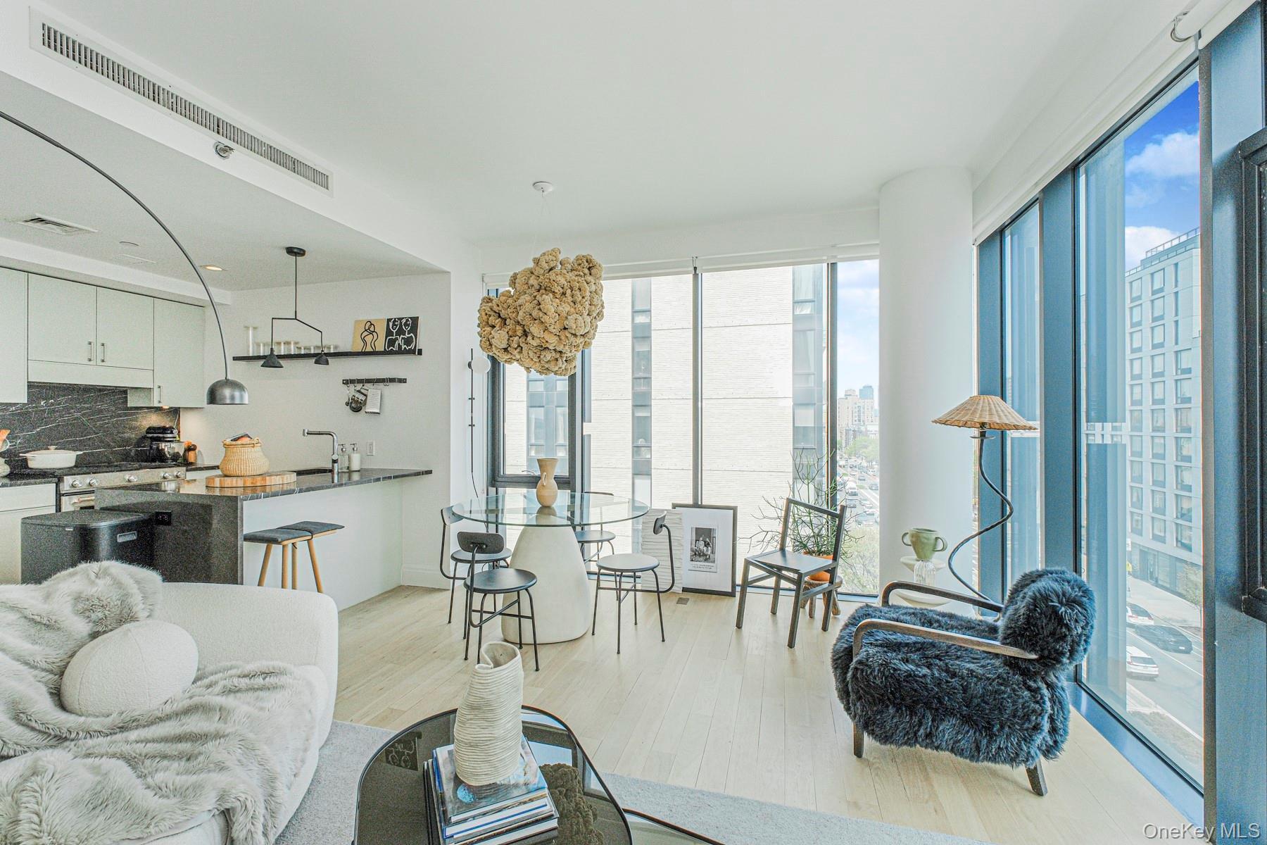 Condo 4th Avenue  Brooklyn, NY 11215, MLS-992614-9