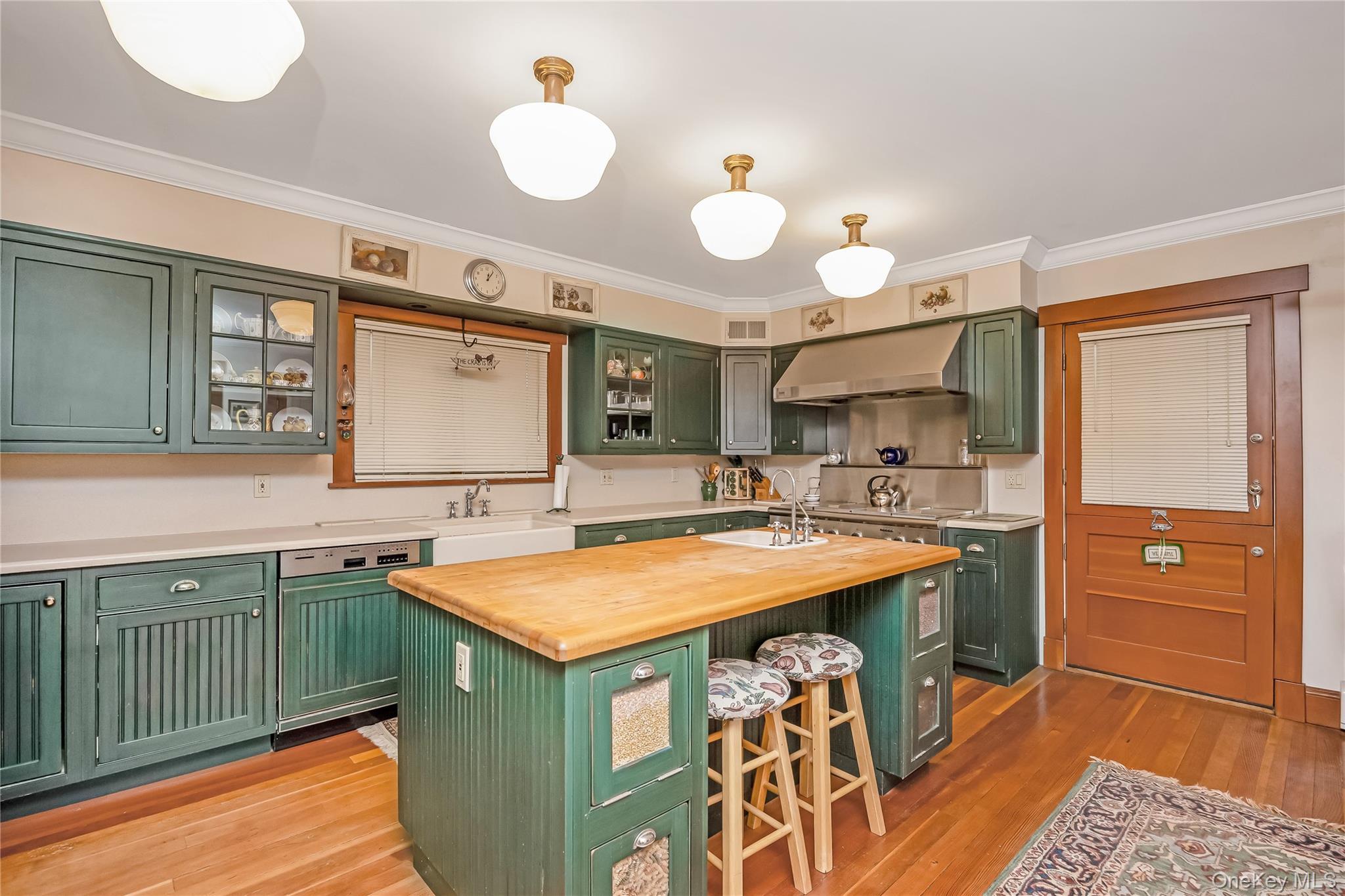 Single Family Pershing  Nassau County, NY 11510, MLS-992622-10