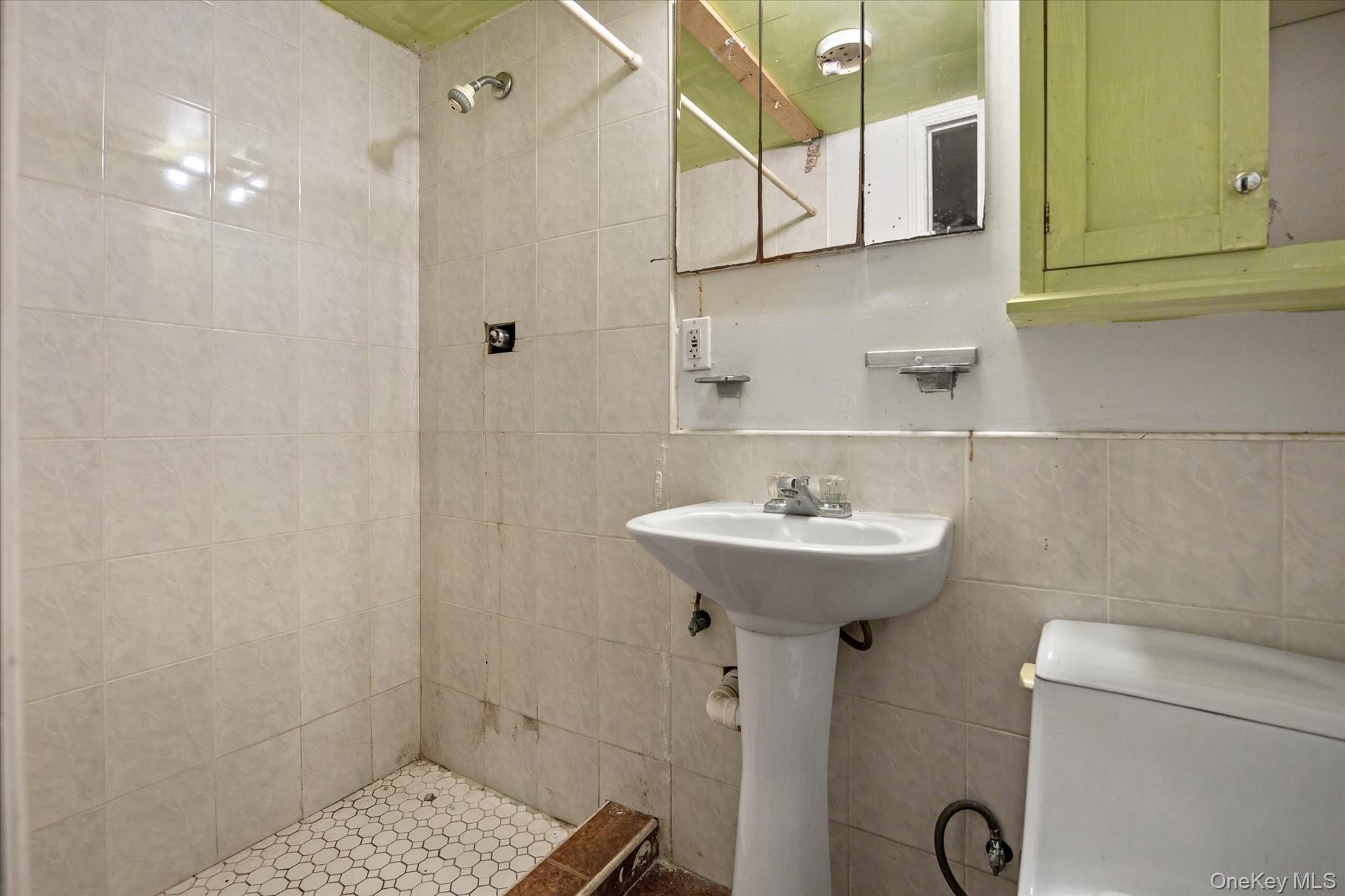 Single Family E 53rd Place Brooklyn, NY 11234, MLS-992623-29
