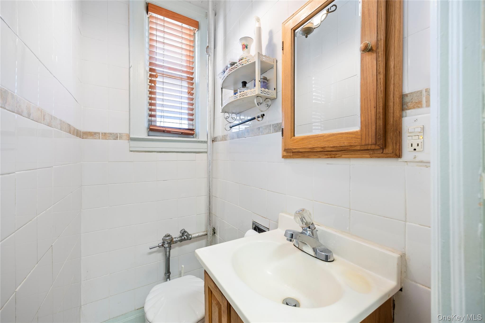 Single Family Lenox  Brooklyn, NY 11212, MLS-992653-9