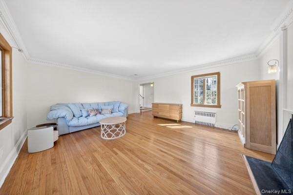 Single Family Old Mill Road Nassau County, NY 11030, MLS-992685-3