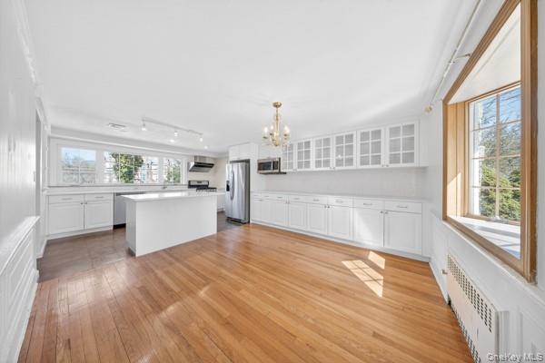 Single Family Old Mill Road Nassau County, NY 11030, MLS-992685-6