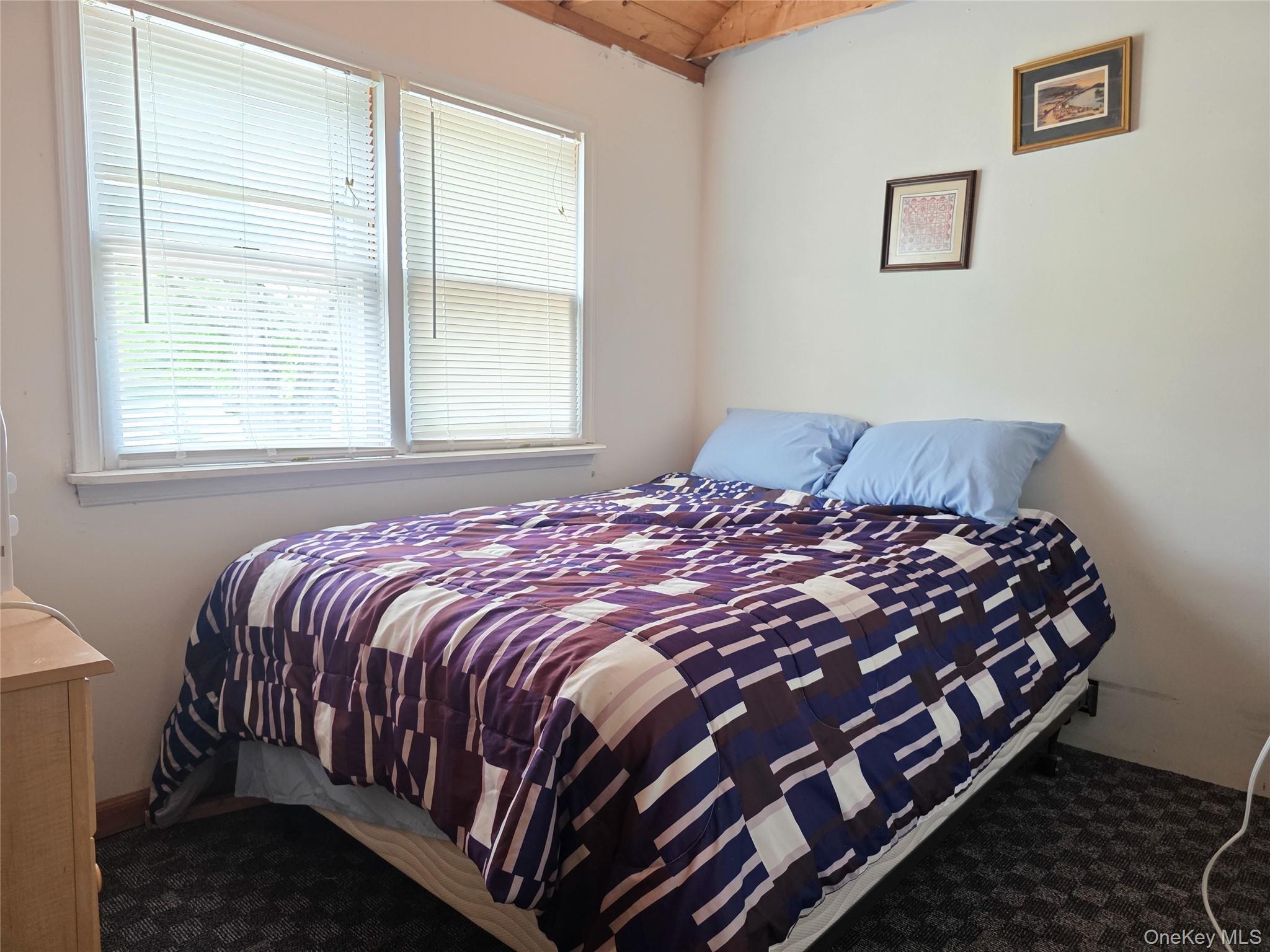 Single Family Washington Lake Road  Sullivan County, NY 12732, MLS-992733-19
