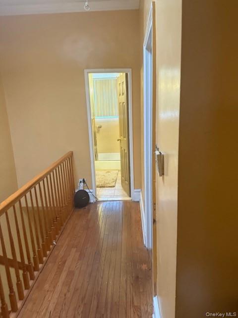 Single Family East 95  Brooklyn, NY 11236, MLS-992765-10