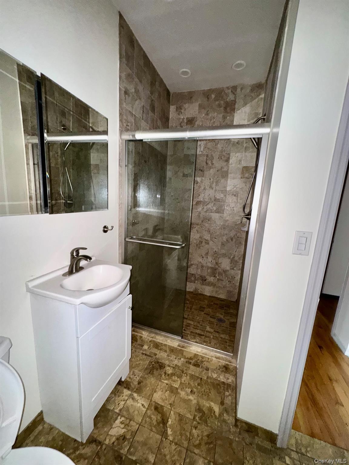 Single Family Apollo Brooklyn, NY 11222, MLS-992768-33