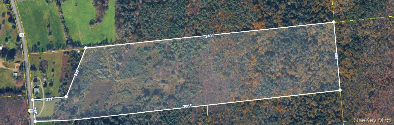 Single Family County Highway 49  Out Of Area, NY 13808, MLS-992831-20