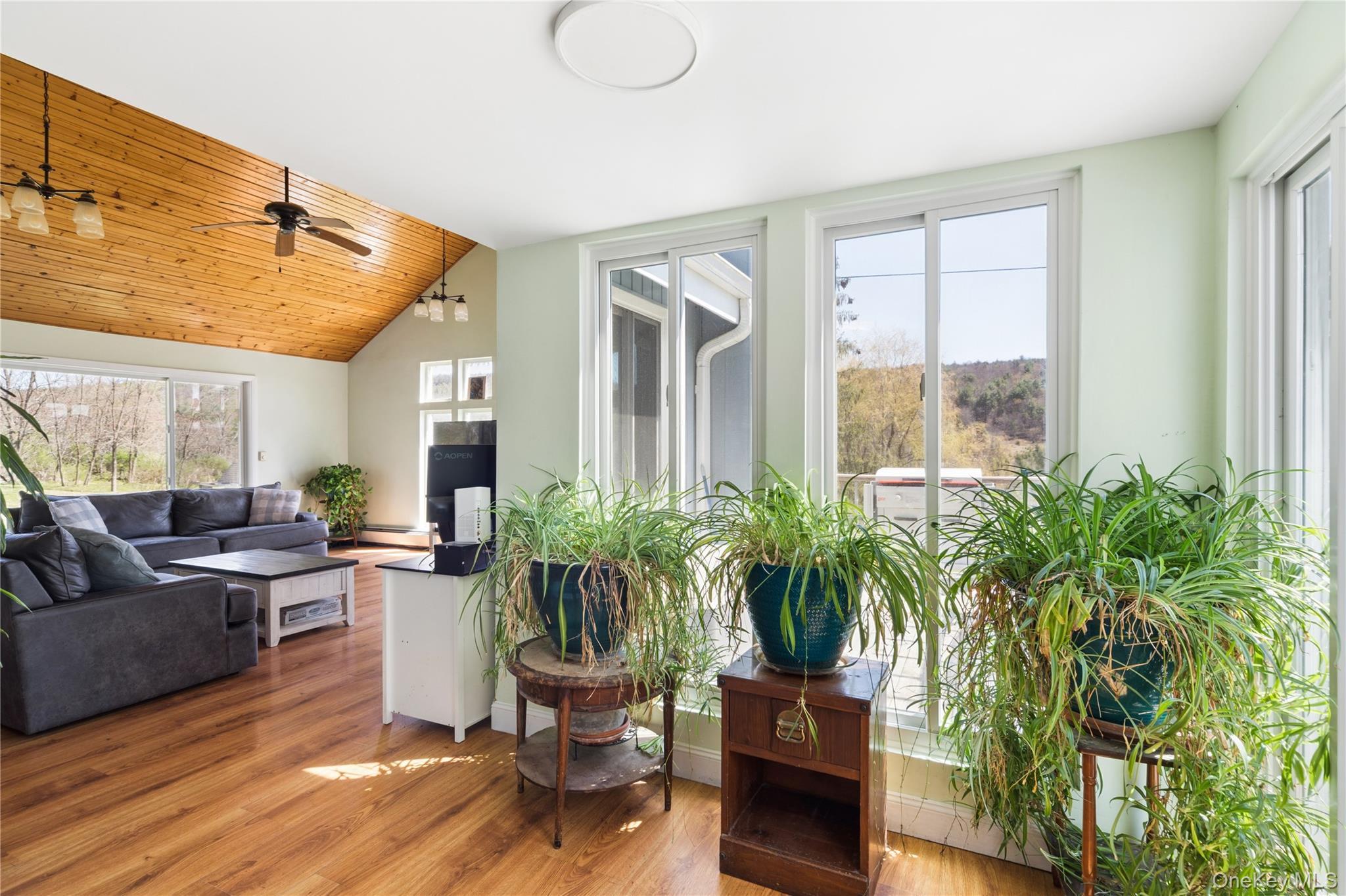 Single Family County Highway 49  Out Of Area, NY 13808, MLS-992831-6