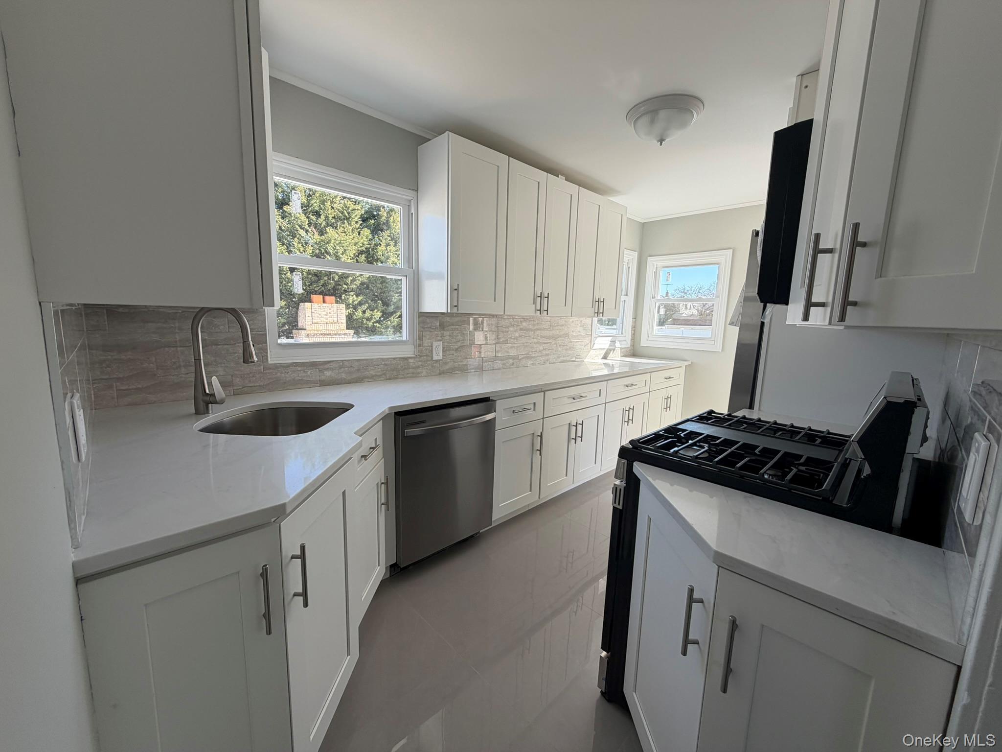 Single Family Pine  Nassau County, NY 11783, MLS-992864-2