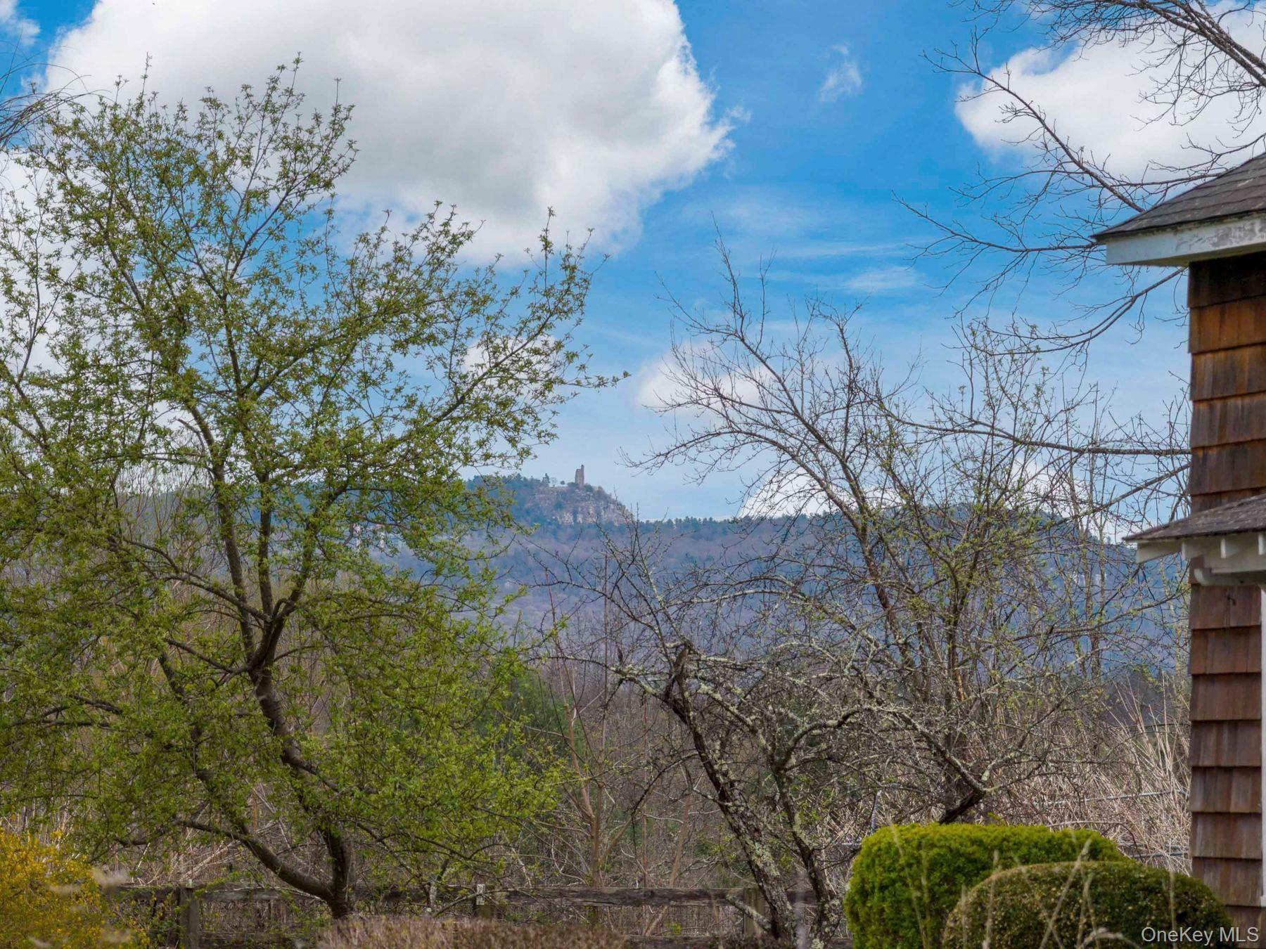 Single Family Cooper  Ulster County, NY 12404, MLS-992875-2