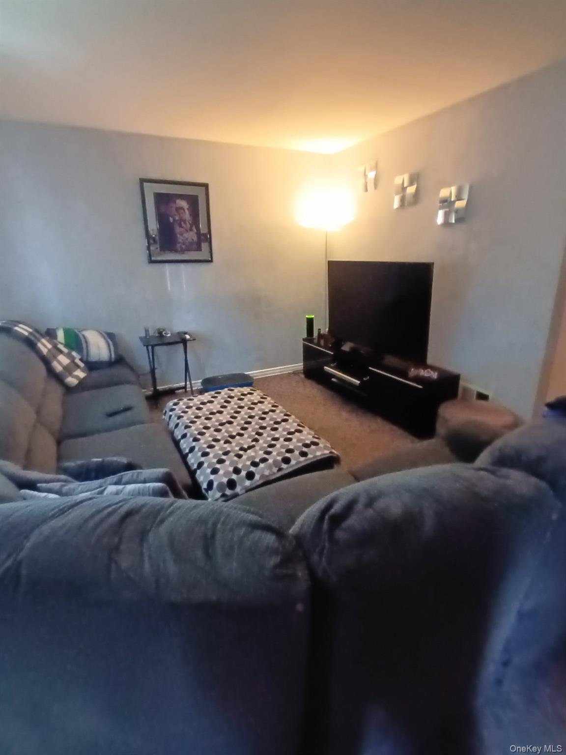 Single Family Jerusalem  Nassau County, NY 11566, MLS-992943-4