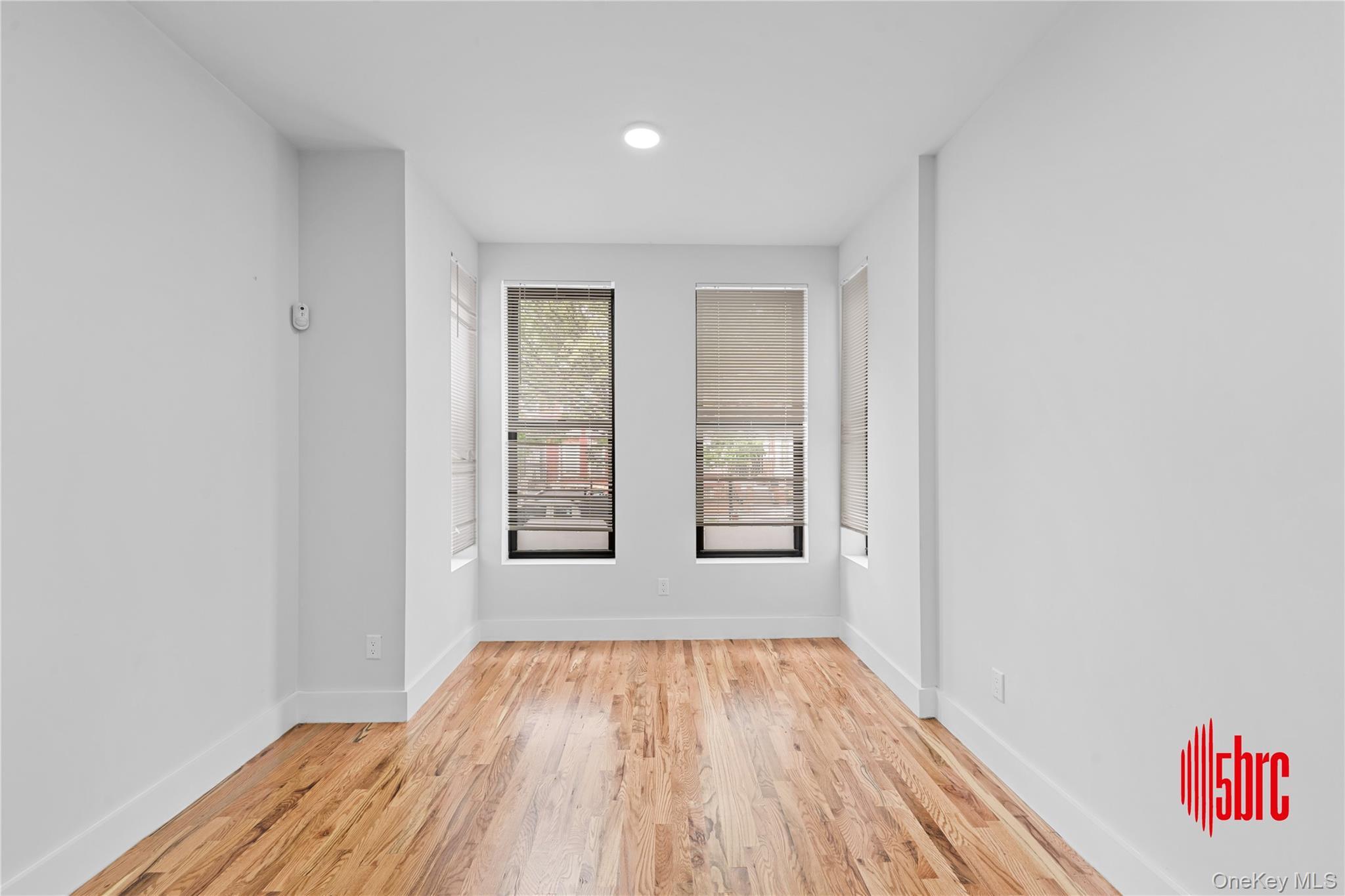 Single Family Miller  Brooklyn, NY 11207, MLS-992995-28