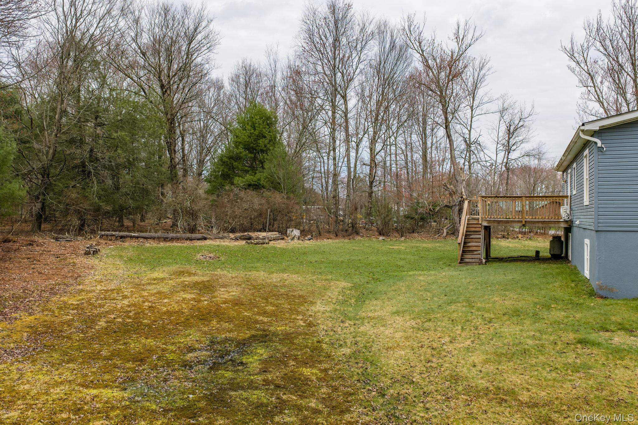 Single Family Dingle Daisy Road Sullivan County, NY 12701, MLS-993047-33