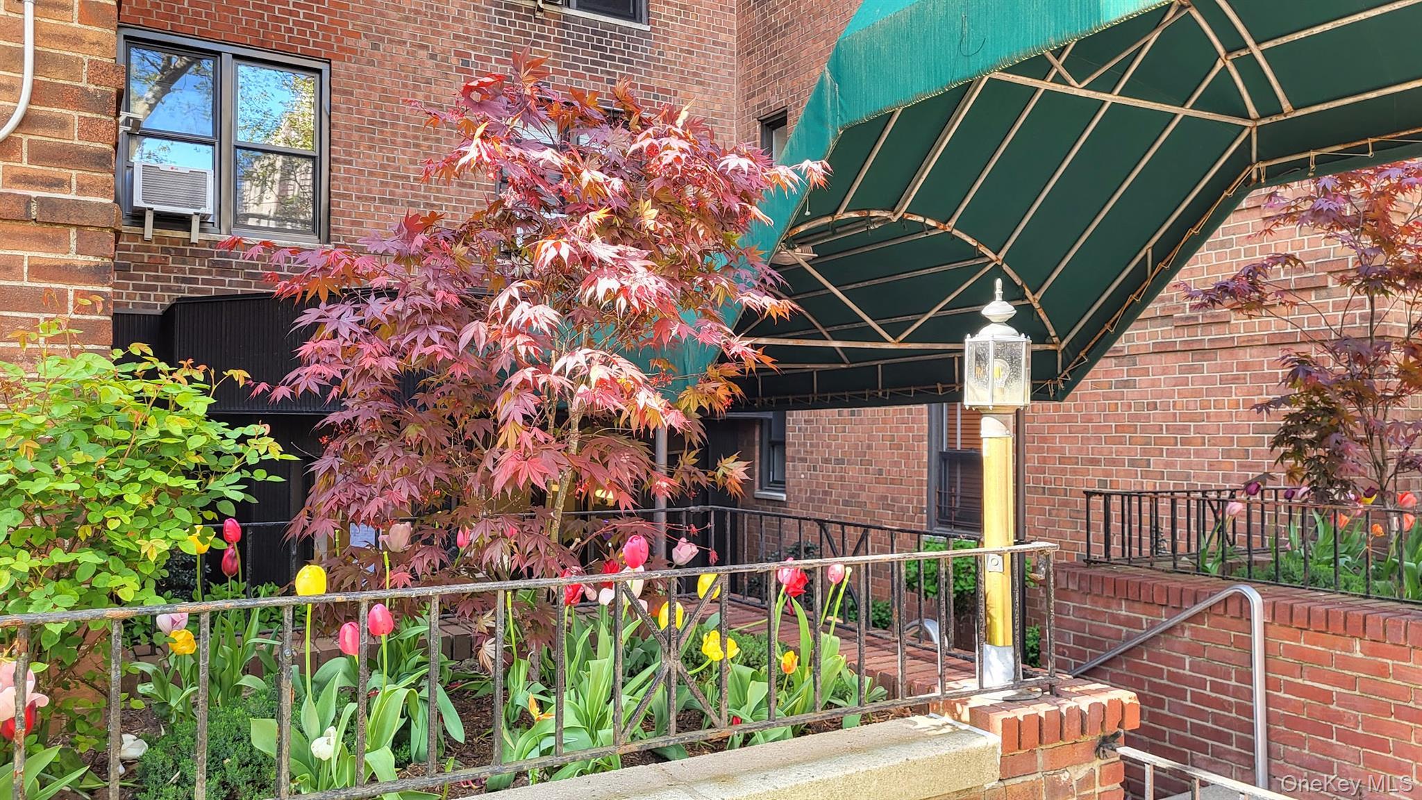 Coop Oliver Street Brooklyn, NY 11209, MLS-993073-2