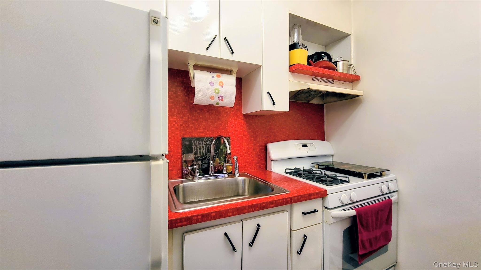 Coop Oliver Street Brooklyn, NY 11209, MLS-993073-8