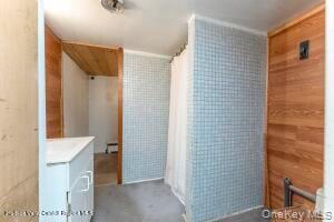 Single Family Miller  Ulster County, NY 12561, MLS-993096-18