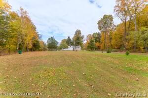 Single Family Miller  Ulster County, NY 12561, MLS-993096-29