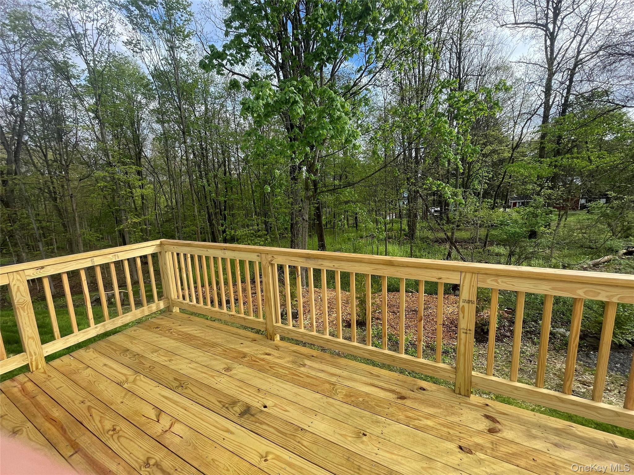 Single Family Route 376  Dutchess County, NY 12590, MLS-993128-17