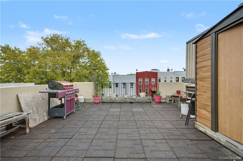Single Family Evergreen Brooklyn, NY 11221, MLS-993194-44