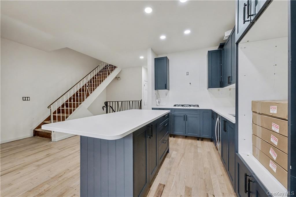 Single Family Evergreen Brooklyn, NY 11221, MLS-993194-8