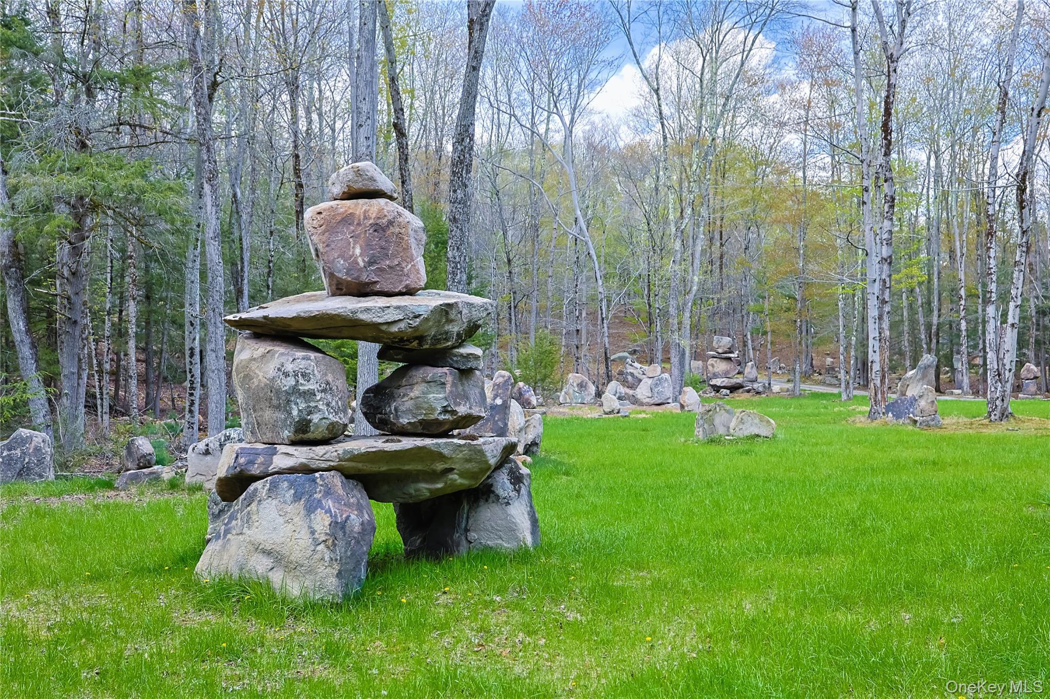 Single Family Cantrell Road Sullivan County, NY 12701, MLS-993197-37