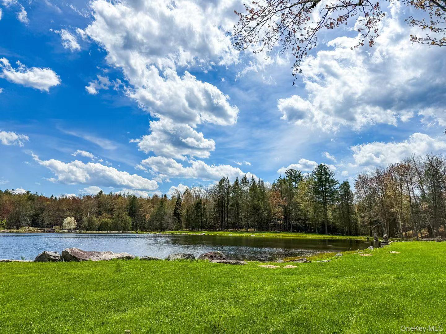 Single Family Cantrell Road Sullivan County, NY 12701, MLS-993197-47