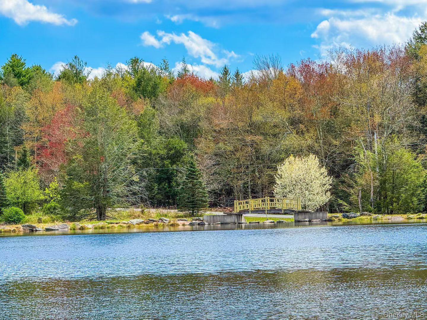 Single Family Cantrell Road Sullivan County, NY 12701, MLS-993197-48