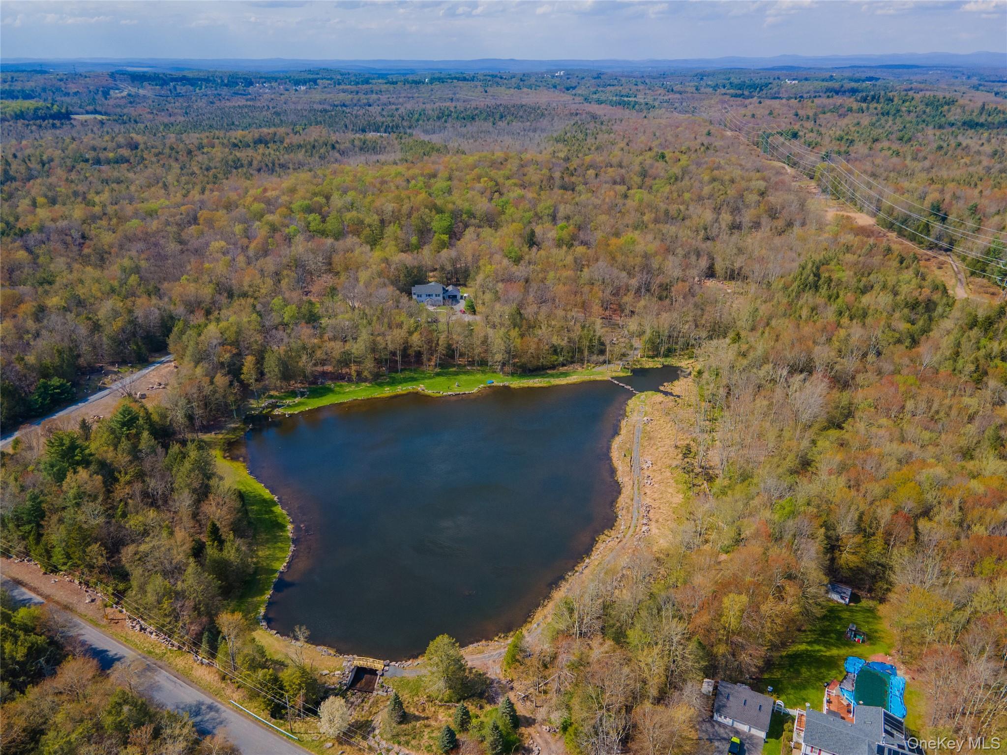 Single Family Cantrell Road Sullivan County, NY 12701, MLS-993197-49