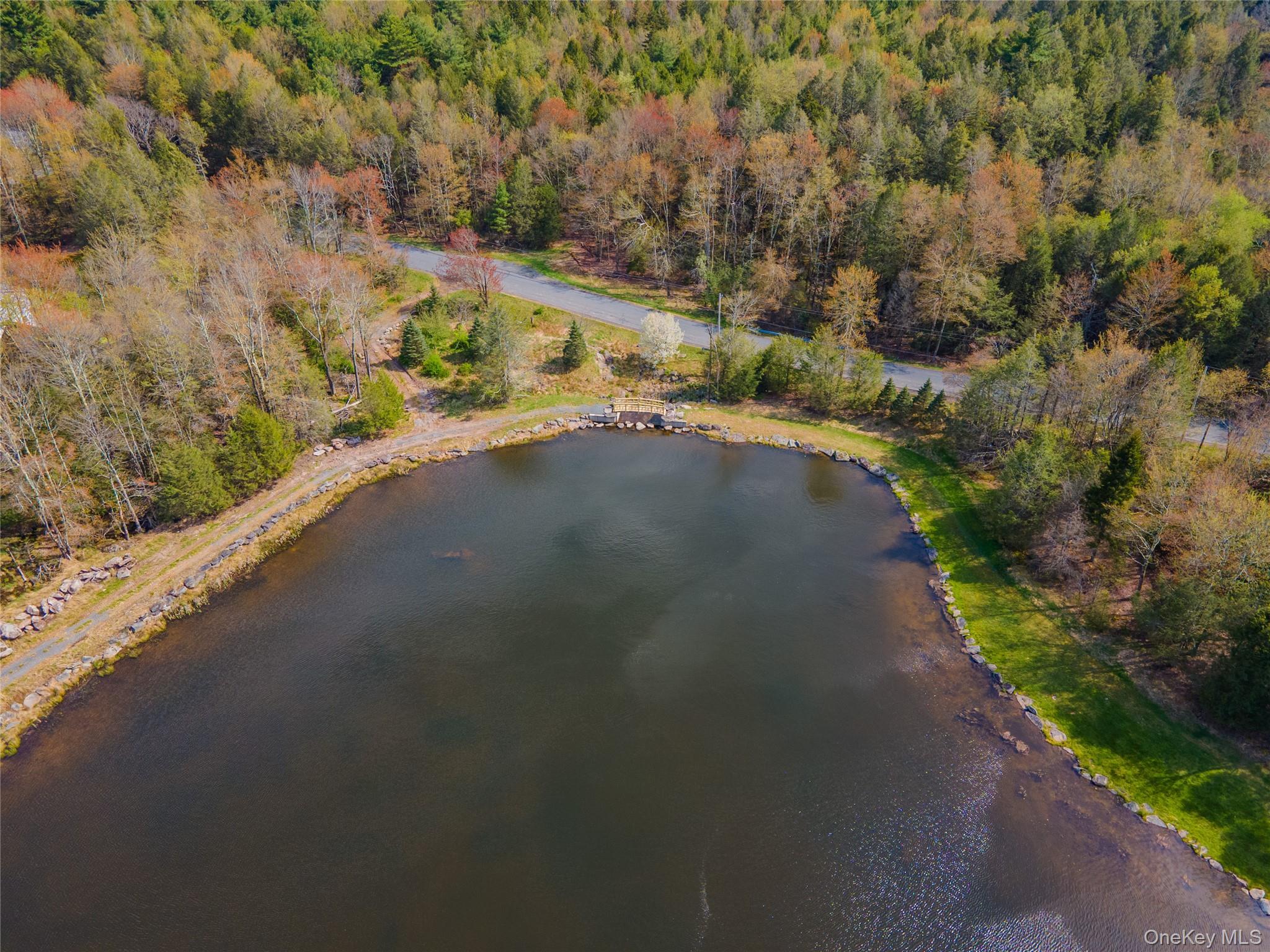 Single Family Cantrell Road  Sullivan County, NY 12701, MLS-993197-50