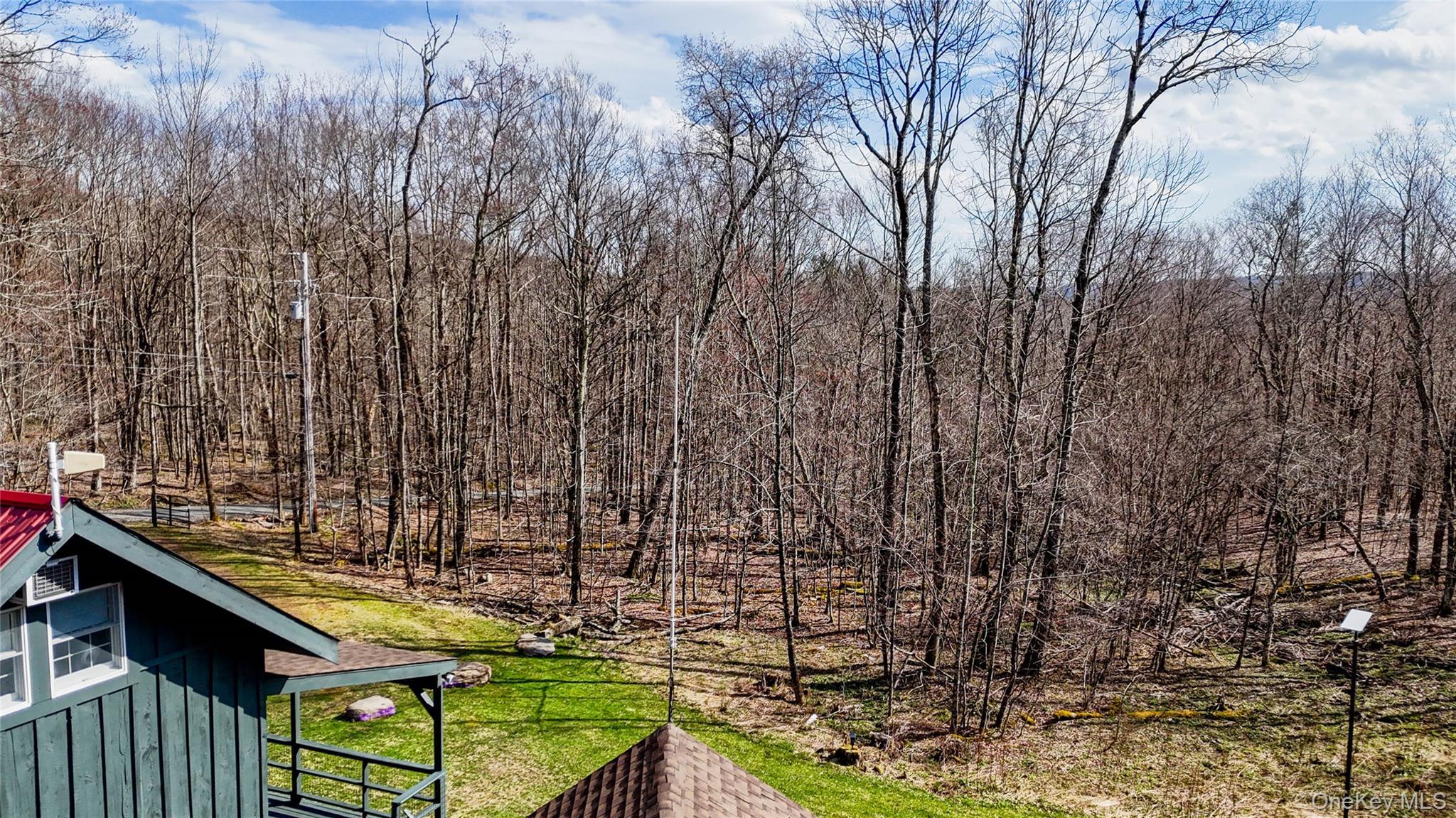 Single Family Horse Brook Road  Delaware County, NY 12776, MLS-993294-4