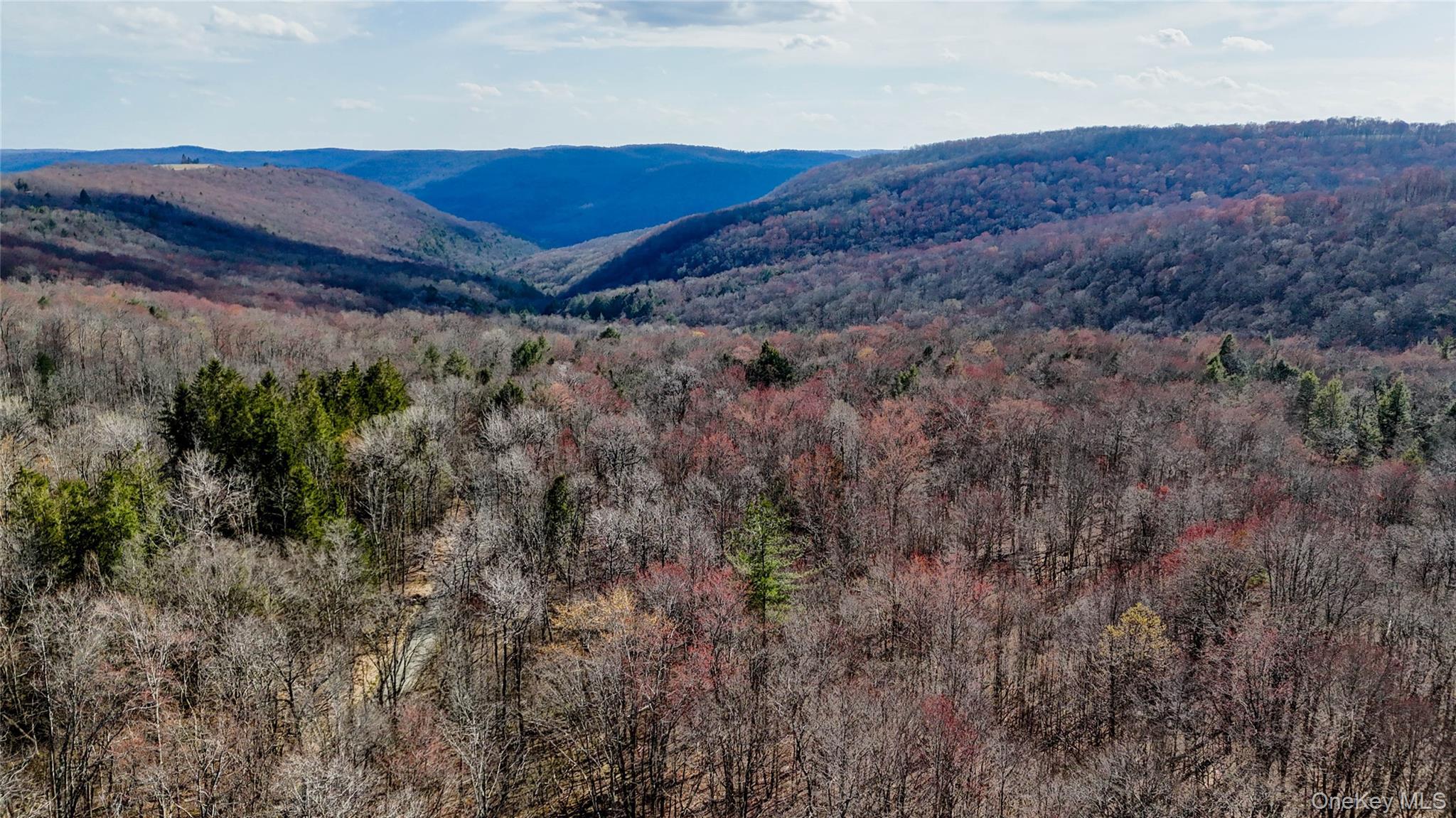 Single Family Horse Brook Road  Delaware County, NY 12776, MLS-993294-5