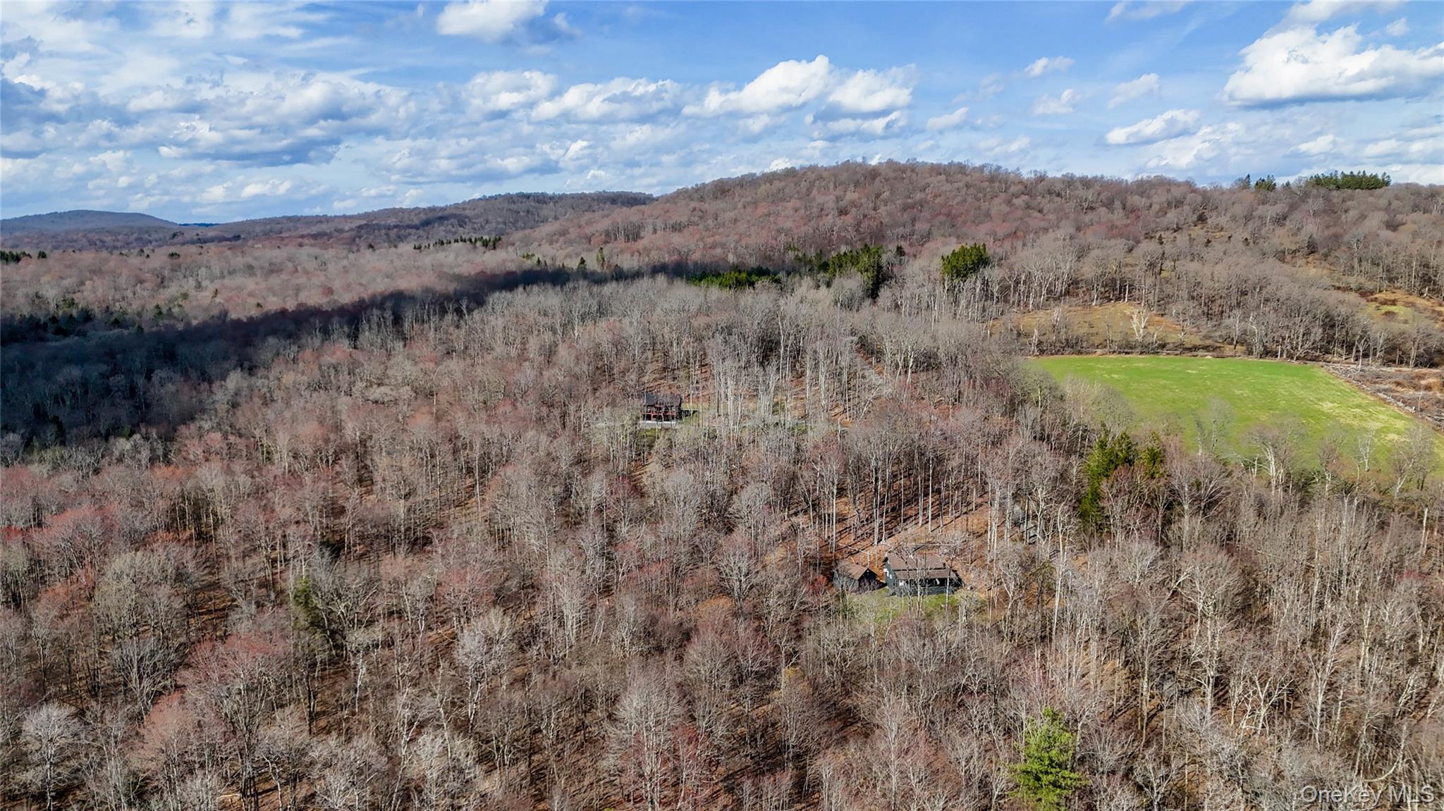 Single Family Horse Brook Road  Delaware County, NY 12776, MLS-993294-6