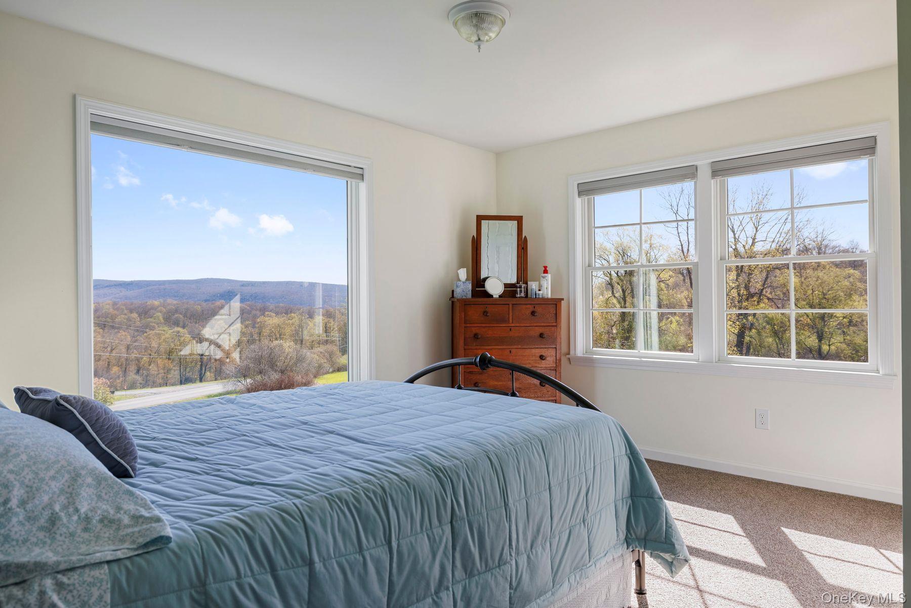 Single Family Sawchuck Road Columbia County, NY 12546, MLS-993431-16