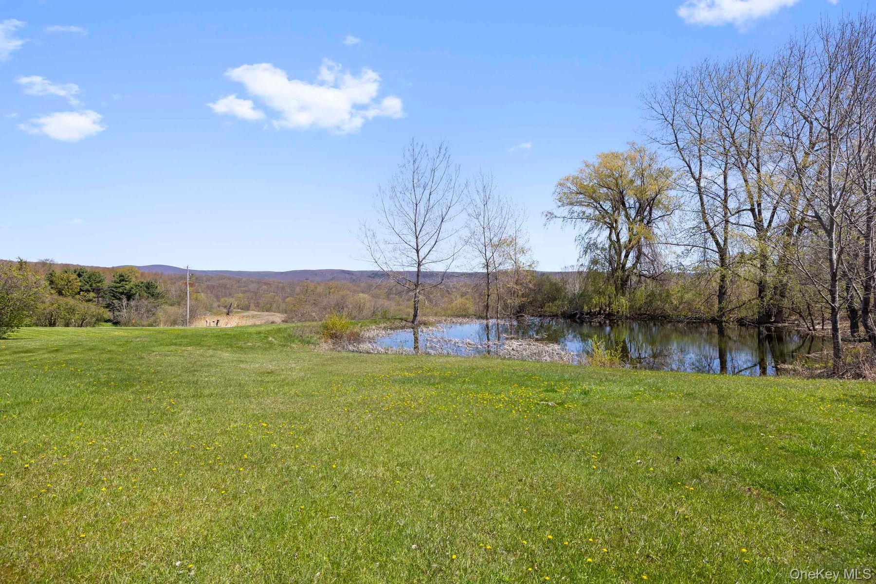 Single Family Sawchuck Road Columbia County, NY 12546, MLS-993431-26