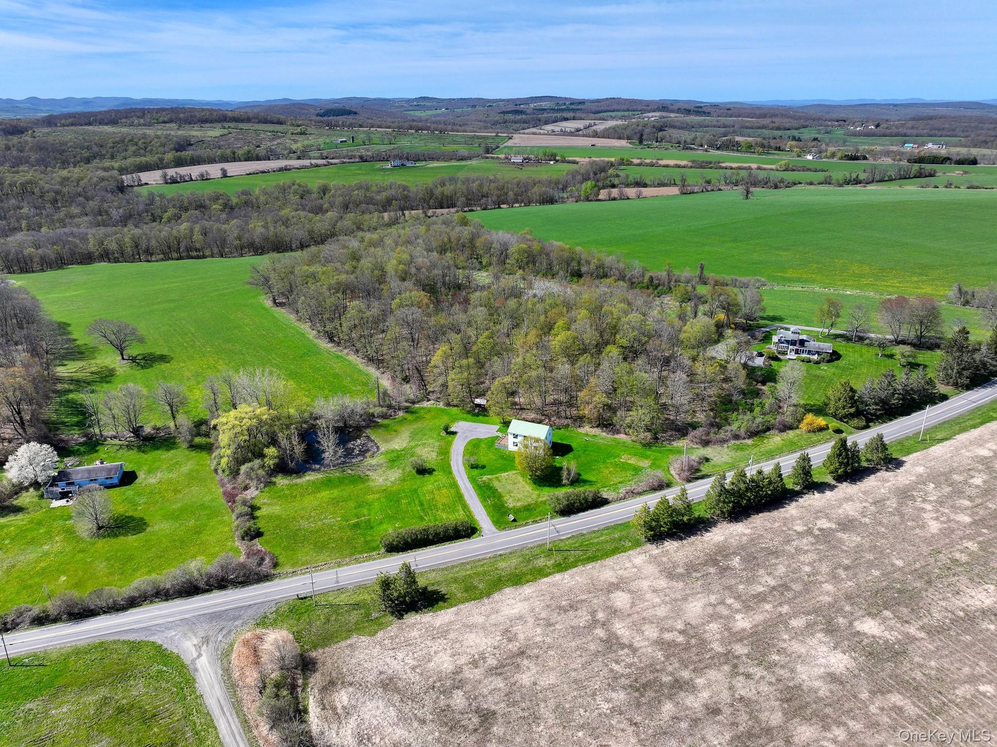 Single Family Sawchuck Road Columbia County, NY 12546, MLS-993431-32
