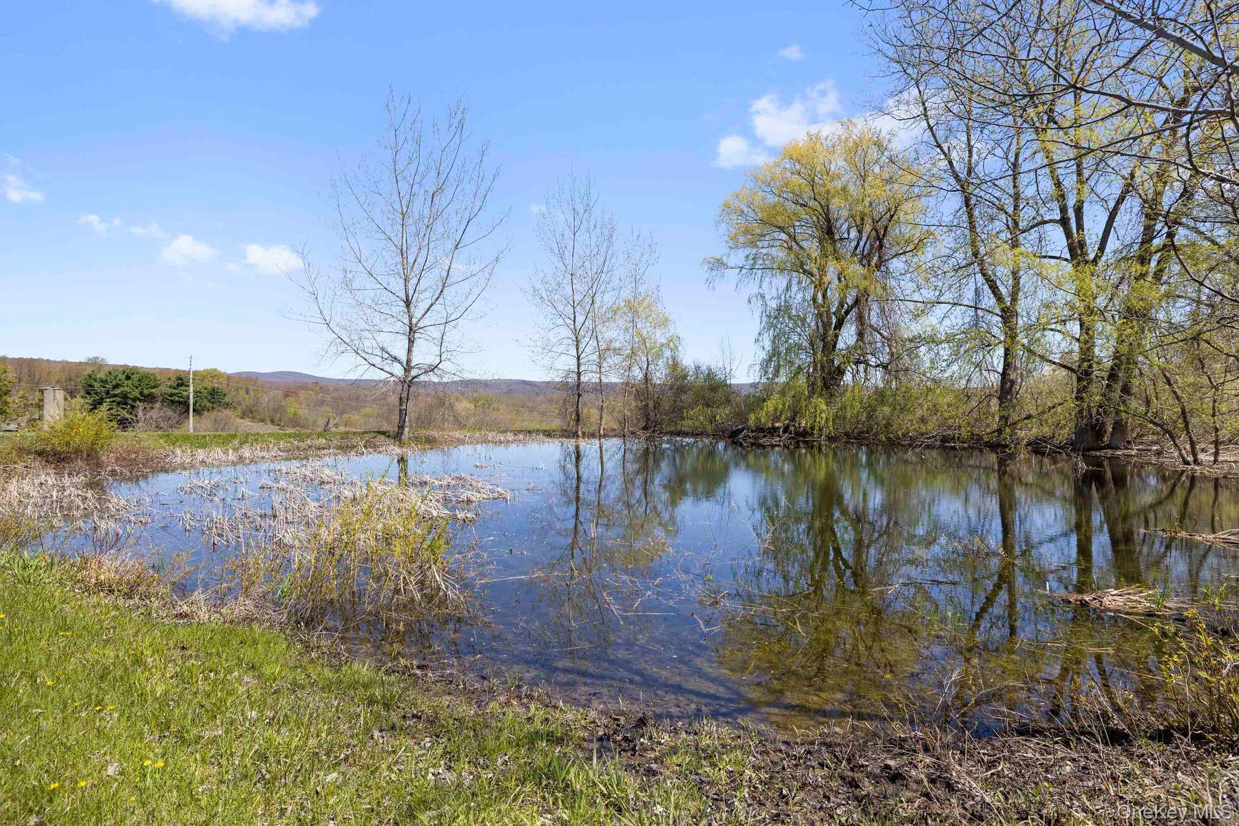 Single Family Sawchuck Road  Columbia County, NY 12546, MLS-993431-33