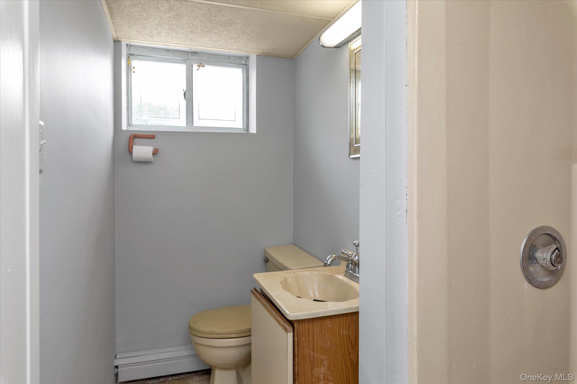Single Family Merrick Avenue Nassau County, NY 11566, MLS-993445-25