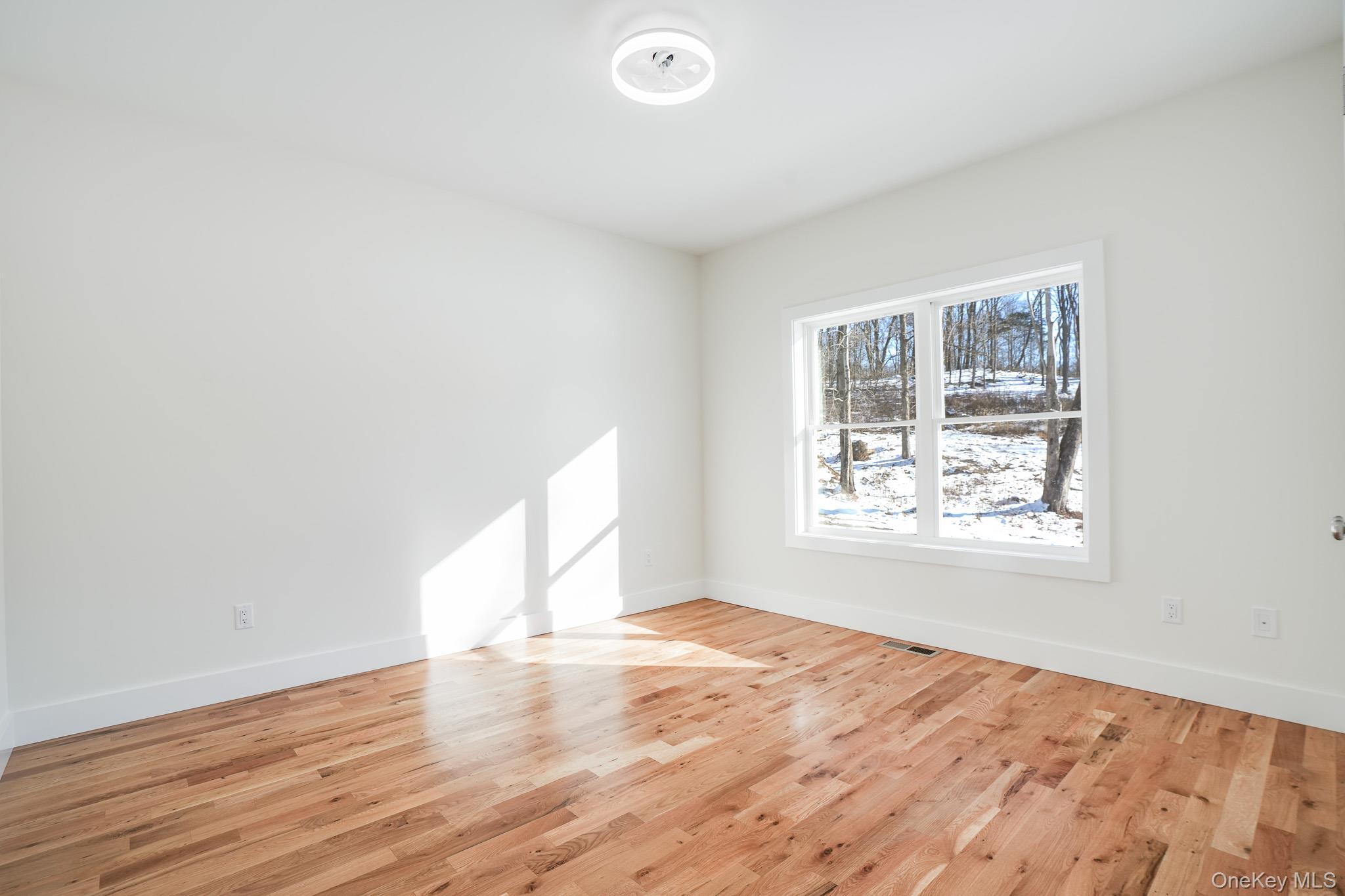 Single Family Bear Hollow Lane  Dutchess County, NY 12538, MLS-993468-17