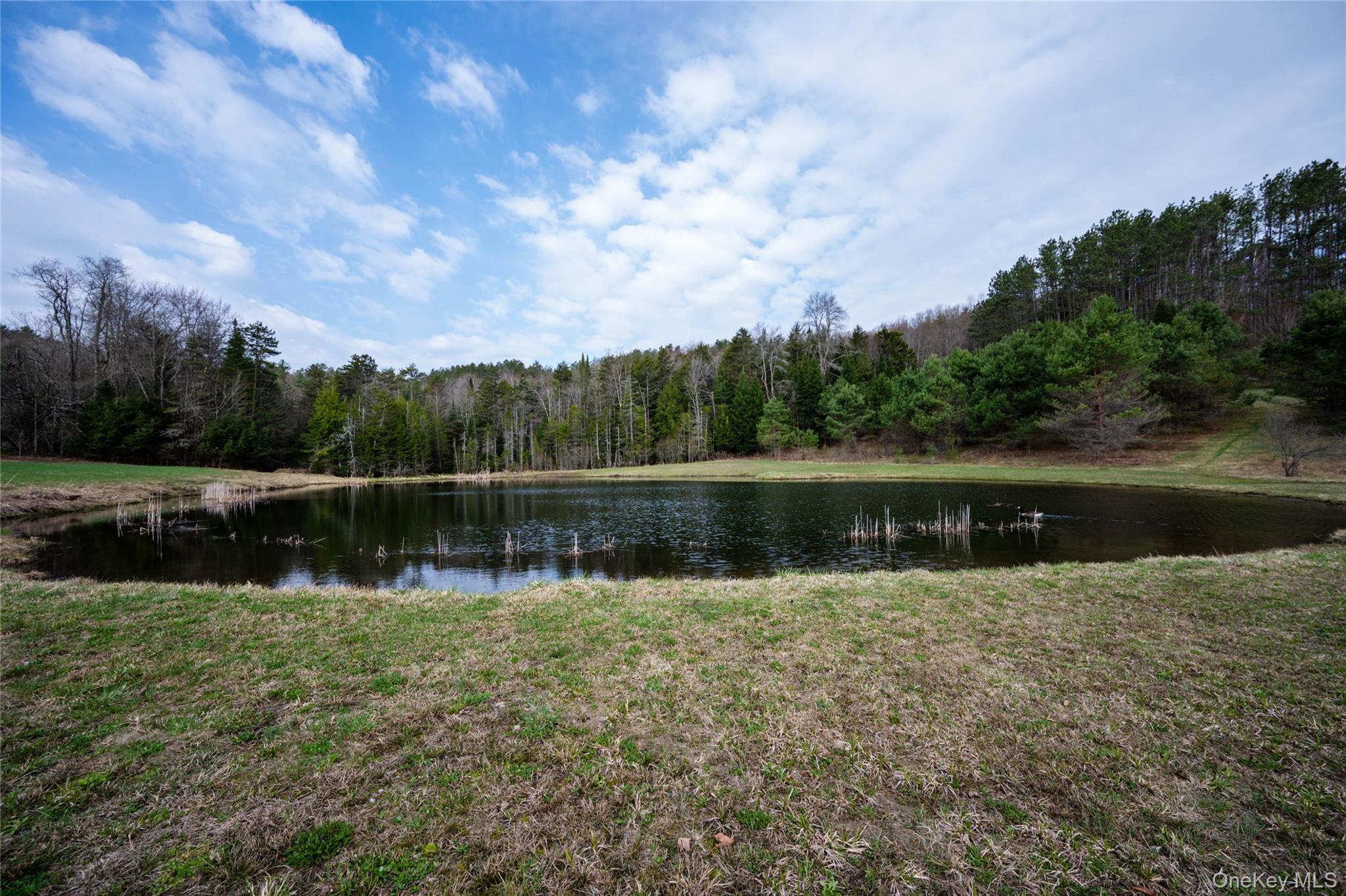 Single Family Hurricane Road Out Of Area, NY 13324, MLS-993518-40