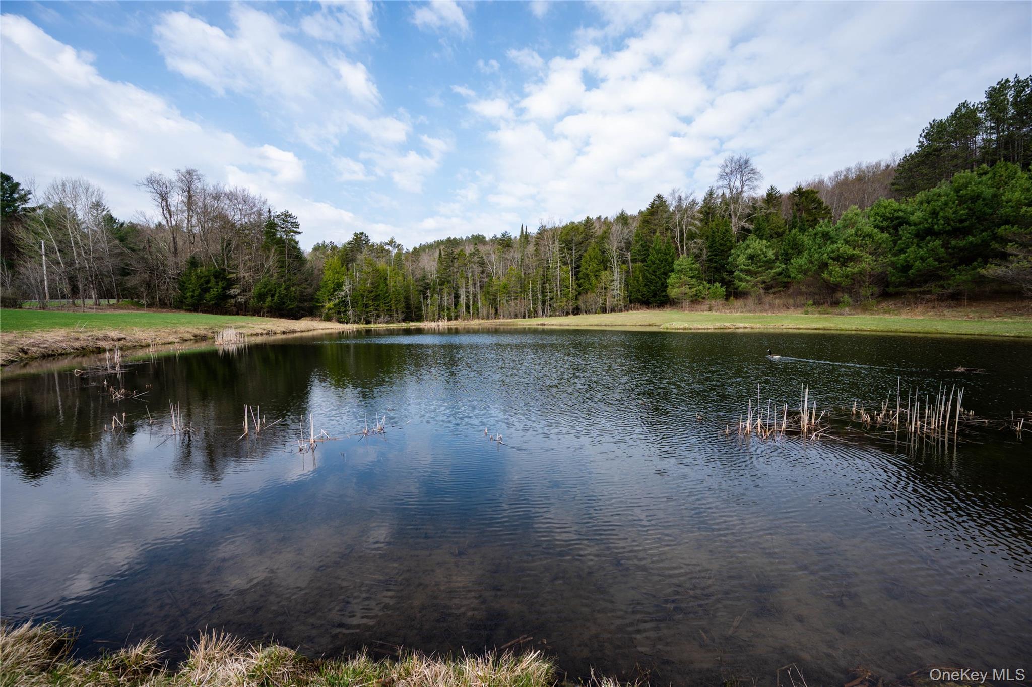 Single Family Hurricane Road Out Of Area, NY 13324, MLS-993518-41