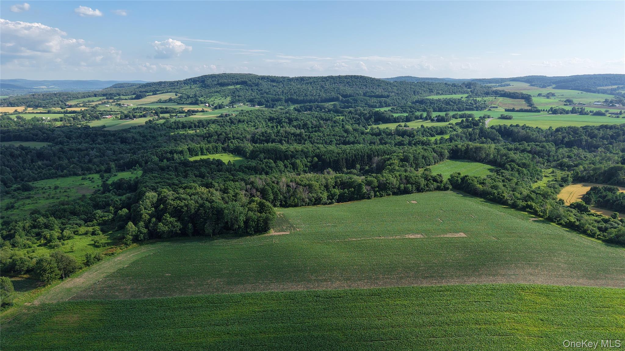Single Family Crooked Hill Road  Out Of Area, NY 13318, MLS-993608-35