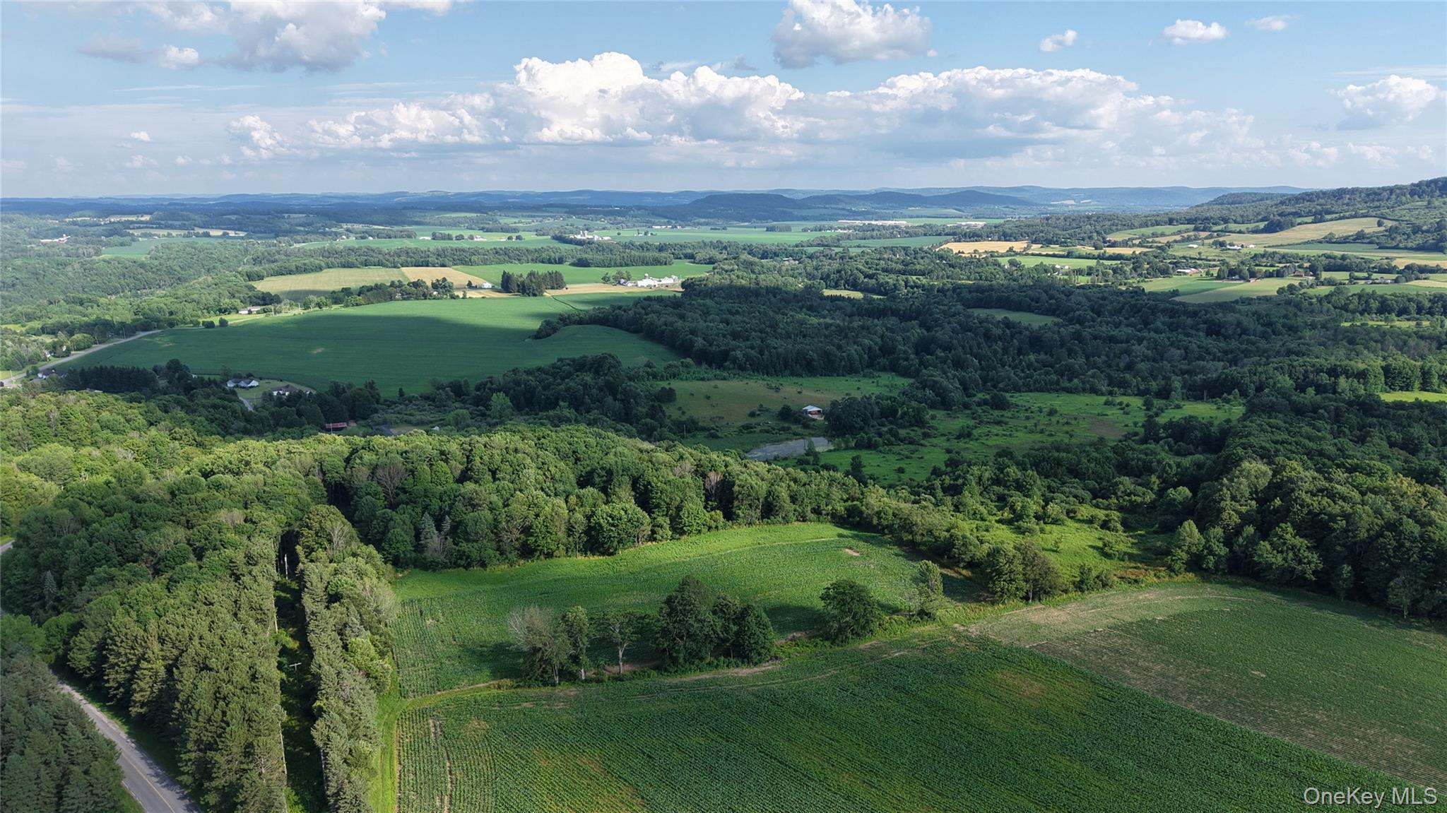 Single Family Crooked Hill Road  Out Of Area, NY 13318, MLS-993608-36