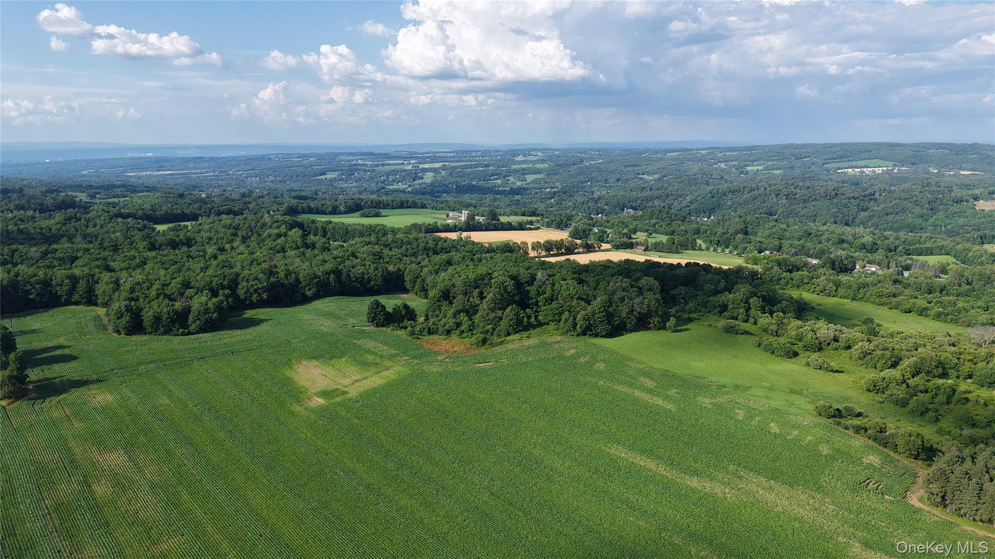Single Family Crooked Hill Road  Out Of Area, NY 13318, MLS-993608-38