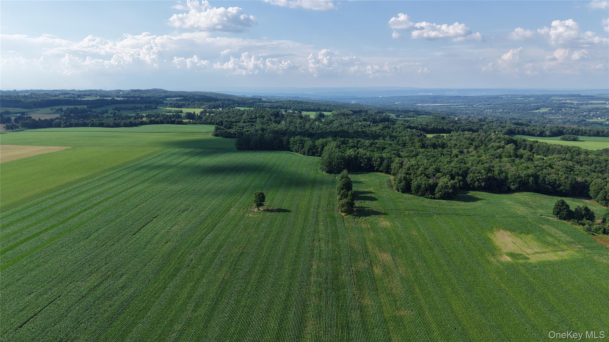 Single Family Crooked Hill Road  Out Of Area, NY 13318, MLS-993608-39