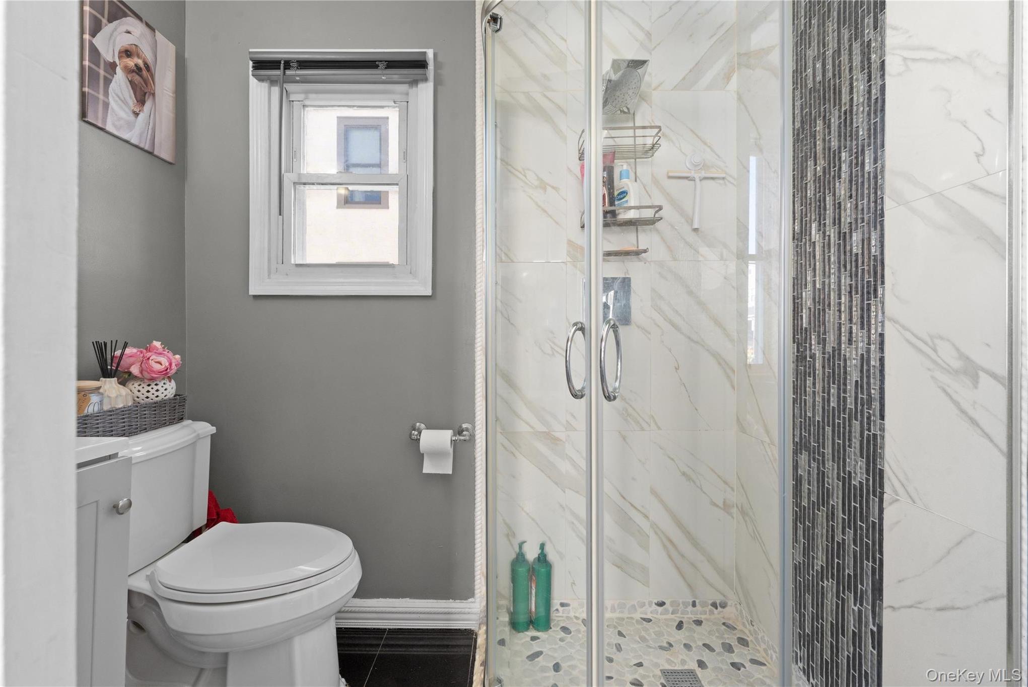 Single Family Baisley  Bronx, NY 10465, MLS-993627-12