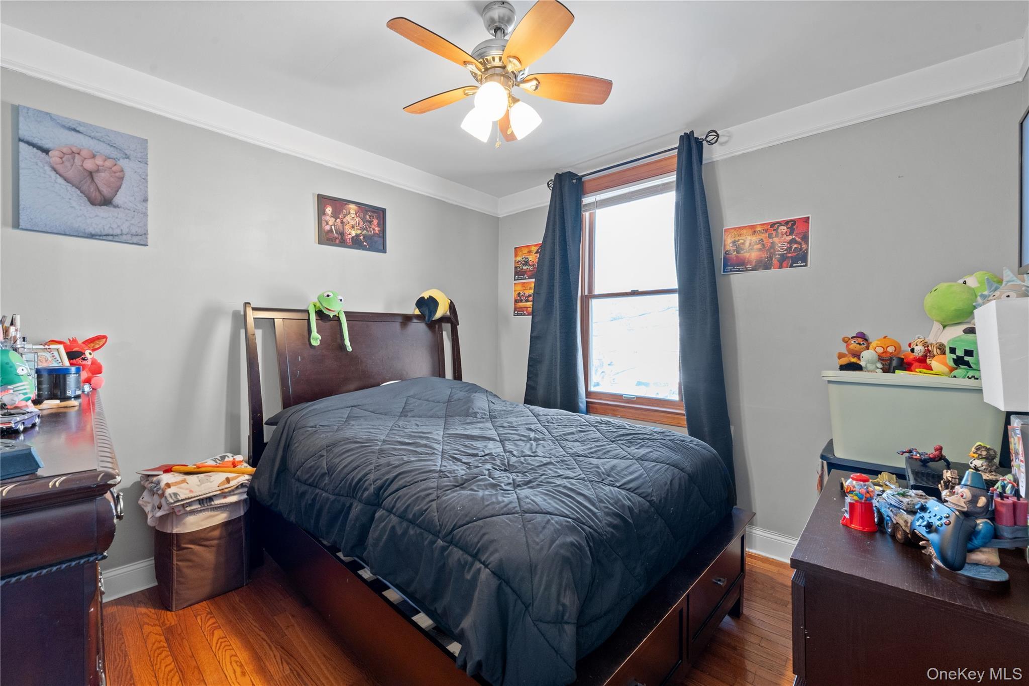 Single Family Baisley  Bronx, NY 10465, MLS-993627-7